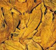 Oriental Tobacco Leaves